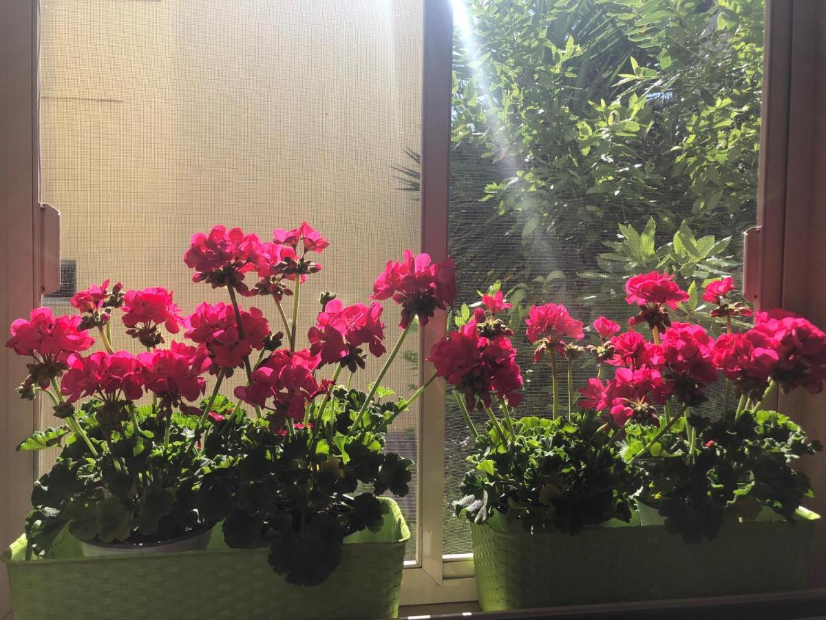 Bed & Breakfast De Nittis Barletta Exterior photo