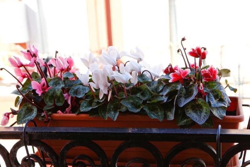 Bed & Breakfast De Nittis Barletta Exterior photo